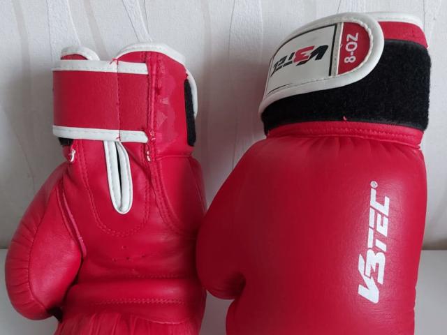 Boxhandschuhe Kinder - 1